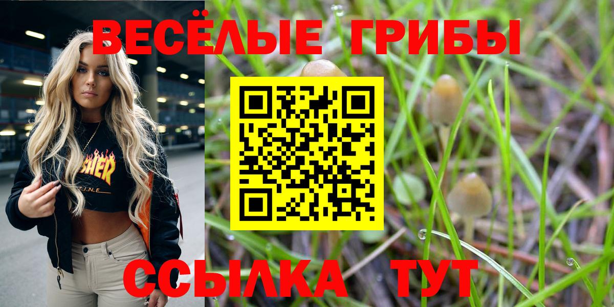 Галлюциногенные грибы Psilocybine cubensis Сочи