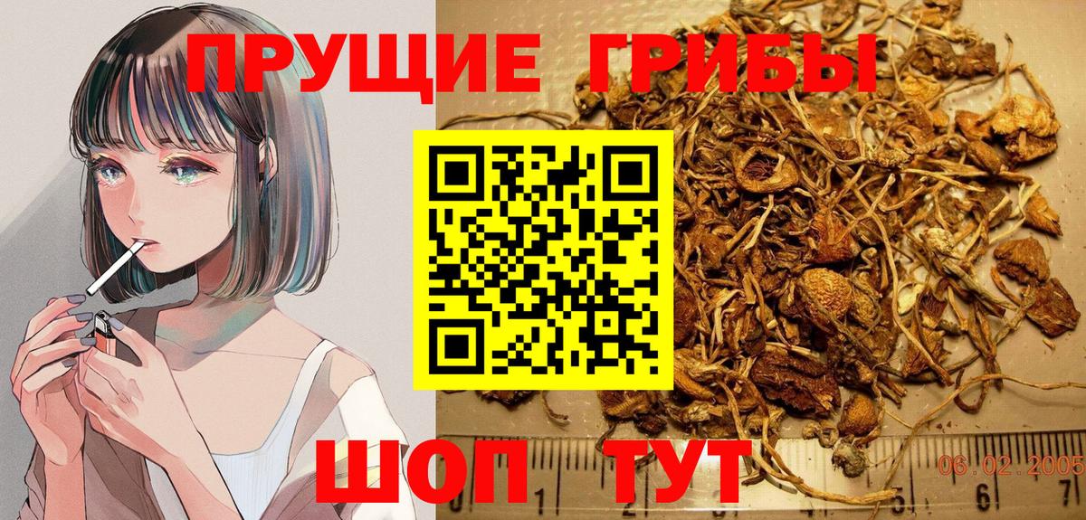 Сочи  Галлюциногенные грибы GOLDEN TEACHER  Псилоцибиновые грибы прущие грибы  Вход с VPN 